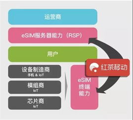 eSIM技術(shù) 驅(qū)動物聯(lián)網(wǎng)大規(guī)模應(yīng)用的核心連接引擎